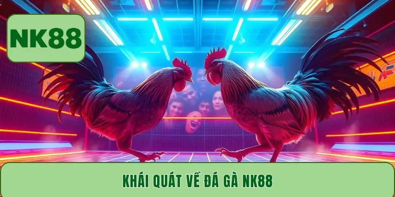Khái quát về đá gà NK88