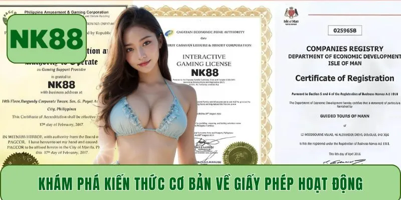 Khám phá kiến thức cơ bản về giấy phép hoạt động